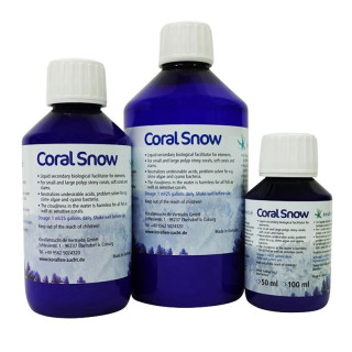 Korallen Zucht Coral Snow