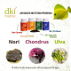 Easy Reefs DKI β-carotene 50g