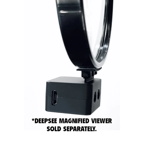 Flipper Deepsee Torch LED Light