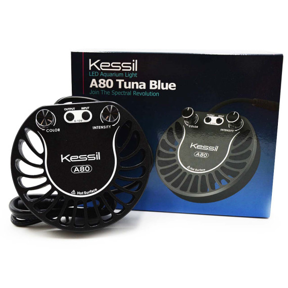 Kessil A80 Tuna Blue