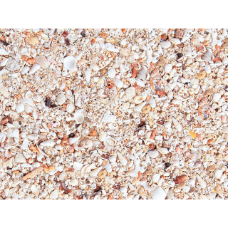 Nature's Ocean Premium Aragonite - Hawaiian Puka Shells 3,5-5mm 6,8kg