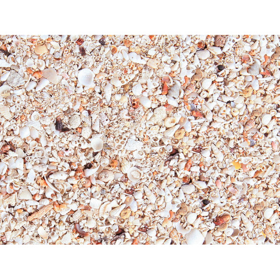 Nature's Ocean Premium Aragonite - Hawaiian Puka Shells 3,5-5mm 6,8kg