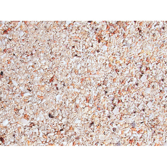 Nature's Ocean Premium Aragonite - Hawaiian Puka Shells 2,5-3.5mm 6,8kg