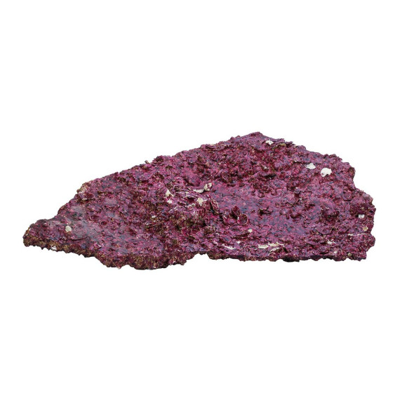 Real Reef Shelf Rock - 20kg