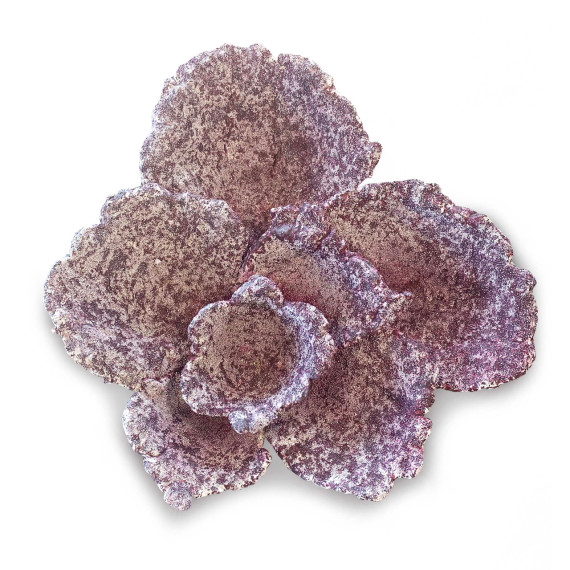 Real Reef Plate Corals - 10pk