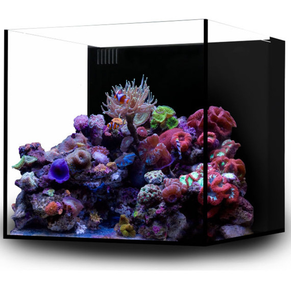 Waterbox AIO 20 Cube