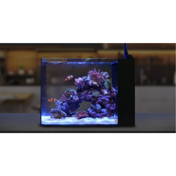 Waterbox AIO 25 Peninsula