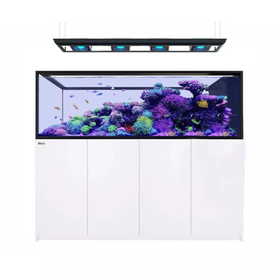 Red Sea Reefer MAX Peninsula S-950 G2+