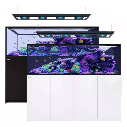 Red Sea Reefer MAX Peninsula S-950 G2+