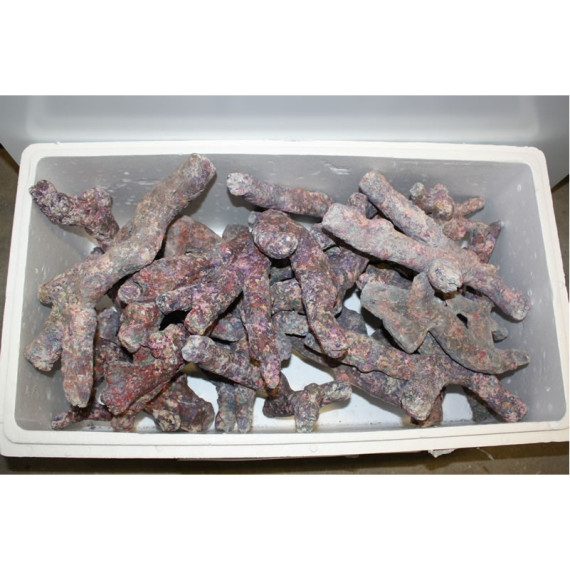 Dutch Reef Rock Bones Dry - 20kg