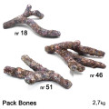 Dutch Reef Rock Pack Bones