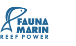 Fauna Marin